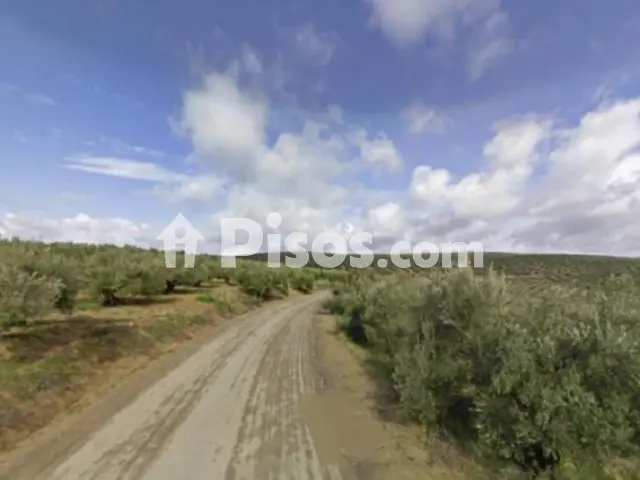 Finca rústica en venta en Calle Polígono, Número 6